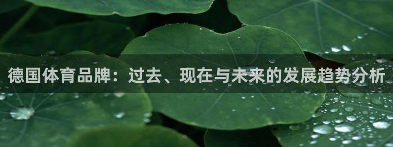 ug环球官网登录入口
