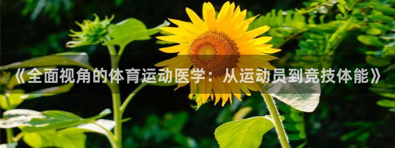 ug环球官网