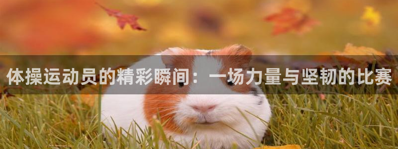 ug环球官网