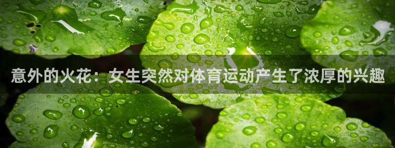 ug环球官网登录入口