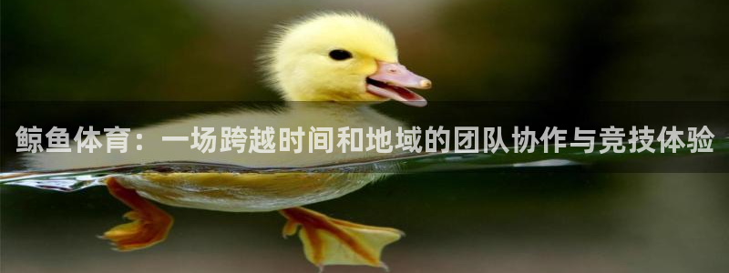 ug环球官网注册
