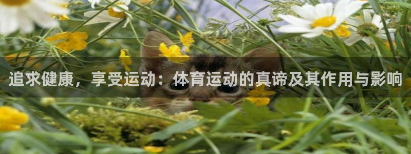 菲律宾ug环球官网